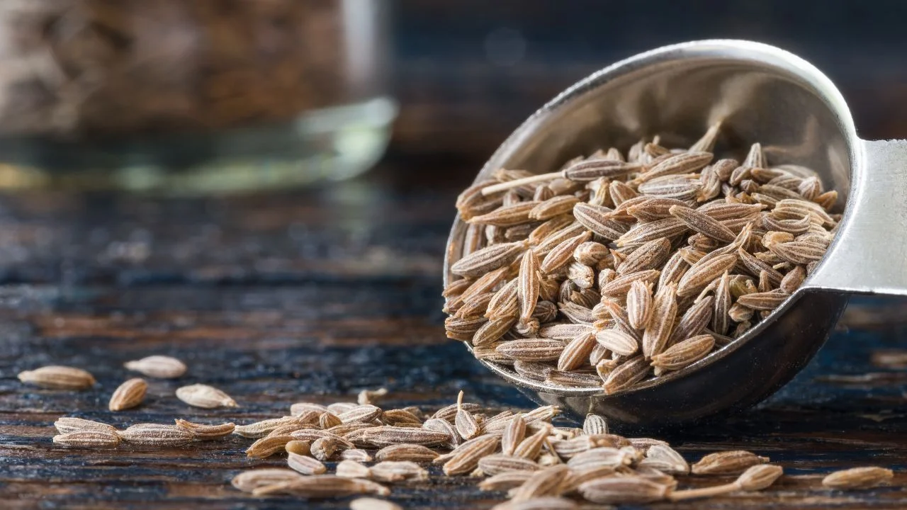 متى يبدأ مفعول الكمون للقولون؟ فهم دقيق لتأثيره الحقيقي على الجهاز الهضمي