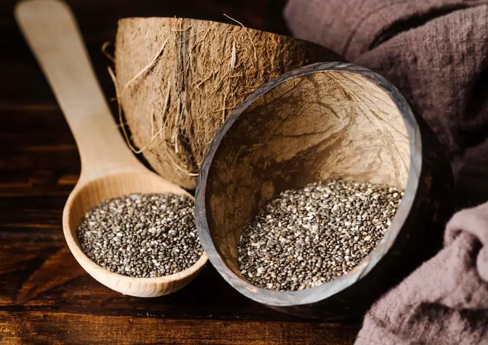 فوائد بذور الشيا على الريق: لماذا يفضل تناولها صباحًا؟