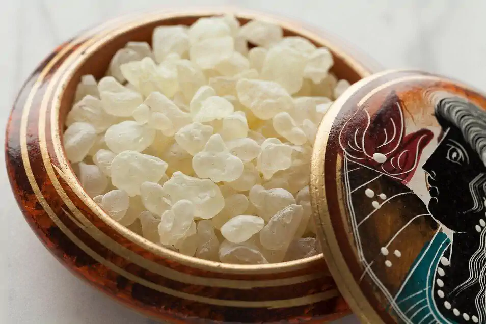 اللبان افضل لازالة رائحة البيت ام الجاوي؟ مقارنة كاملة لمعرفة الأفضل لتعطير المنزل